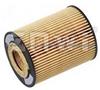 Oil Filters 06 50 300