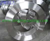 The Most New Forgings With Good Quality.