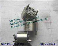 Delphi Common Rail Valve: 9308-621C,9308-622B