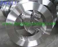 Precision Drop Forged Auto Parts