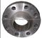 Carbon Steel Flanges