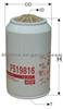 Fuel Filter FS19816