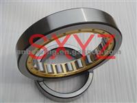 Bearing RNU218