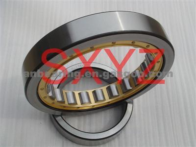 Bearing RNU207