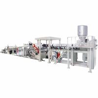 PC/PMMA Optical Sheet Extrusion Line