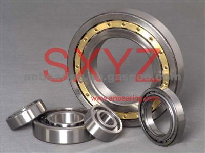 Cylindrical roller bearing NJ309