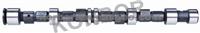 Camshaft 93272192