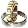 Cylindrical roller bearing NJ2311