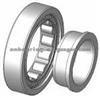 Cylindrical rooler bearing NF419