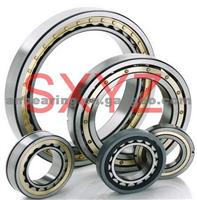 Cylindrical roller bearing NJ2210