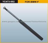 Shock Absorber For BMW-F (31321127840)