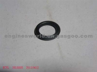Replacement Parts For CUMMINS O RING SEAL 3818885