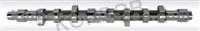 Camshaft 0801. E8