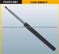 Shock Absorber For BMW-F (31321124448)