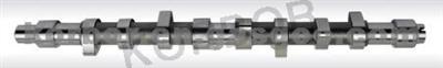 Camshaft 0801. E8