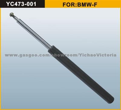 Shock Absorber For BMW-F (31321124294)