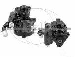 Power Steering Pump (For FIAT 46524141)