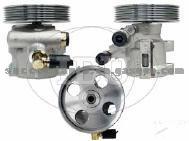 Power Steering Pump (For FIAT 4007N4)