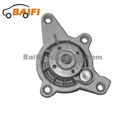 Volkswagen-VW Water Pump Oem 07D 121 005 N 07D 121 005 R