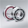 Deep Groove Ball Bearings 6003