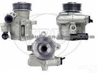 Power Steering Pump (For FORD 4056078)