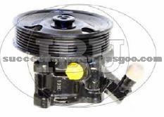 Power Steering Pump (For FORD RMF83J3A674BB)