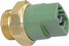 251959481G Thermo Switch Suit For Volkswagen