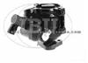 Power Steering Pump (For FORD 9HB0200)