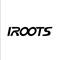 Hk Iroots Industries Limited