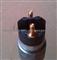 RENAULT Truck Injection Nozzle, Common Rail 503135250,501550956,5010477874,5010550956,5010550956 - img4