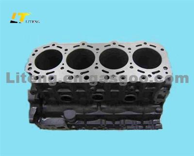 Cylinder Block Subassy 1002100-e06