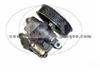 Power Steering Pump (For MAZDA 1357620 )