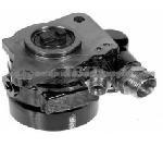 Power Steering Pump (For MERCEDES BENZ 0004601480)