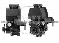 Power Steering Pump (For MERCEDES BENZ 002466100180)