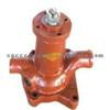 WATER PUMP (For TRUCK Russian Tractors The Czech 60)