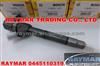 BOSCH Common Rail Injector 0445110319 0445110320 For HYUNDAI & KIA 33800-2A900