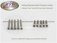 Pan Head Philips Self Tapping Screw/DIN7981