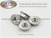 Stainless Steel Flange Nut(HSS-007)/DIN6923