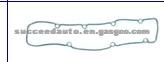 Cylinder Head Gasket (For CITROEN 0249.99 )