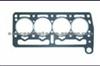 Cylinder Head Gasket (For FIAT 10002600 )