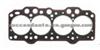Cylinder Head Gasket (For FIAT 5951859 5960967)