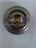 BMW Thermostat