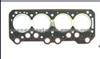 Cylinder Head Gasket (For FIAT 0203.14 )