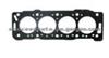 Cylinder Head Gasket (For FIAT 0209.X0)