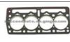 Cylinder Head Gasket (For FIAT 7604403 )