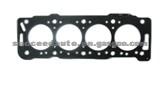 Cylinder Head Gasket (For FIAT 0209.X0)