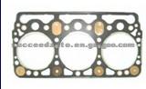 Cylinder Head Gasket (For FIAT 10127400)