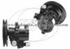 Power Steering Pump (For OPEL 26008257)