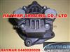 BOSCH Gear Pump 0440020028 For RENAULT And IVECO 5001863917