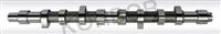 CAMSHAFT FIAT 9603104288